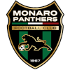 Monaro Panthers